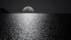 Black And White Moon Ocean During Night Time