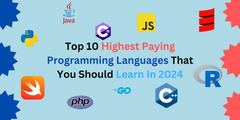 Top 10 Highest Paying Programming Languages To Learn in 2024