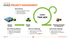 Agile%20Project%20Management.%20Thisicle%20delves%20into%20:%20*%20the%20core%20...