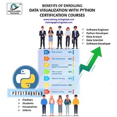 Python Data Visualization with Python Certification Course