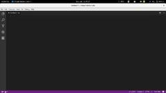 Visual Studio Code (GtkSettings:gtk-application-prefer-dark-theme)