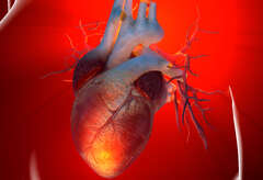 Study: Cancer patients at higher risk of dying from heart disease