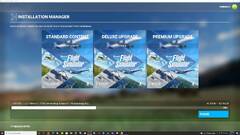 Microsoft Flight Simulator