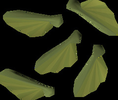 Maple seed - OSRS Wiki