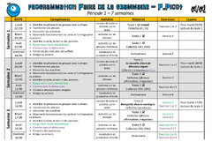 Programmation%20Faire%20de%20la%20grammaire%20au%20CE1/CE2%20-%20F.%20Picot%20-%20La%20...