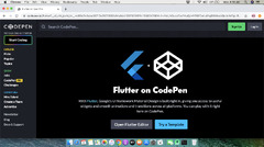 CodePen (Flutter on Codepen)