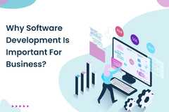 Custom Software Development and Its Importance for Business | by ...