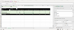 Excel Pivot Table (Microsoft Excel)