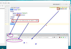 PhpStorm+Pycharm+IntelliJ%20IDEA%20-%20Indian_Mysore%20-