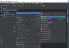 PhpStorm Pycharm IntelliJ IDEA - Indian_Mysore -