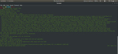 Using%20Lynx%20to%20Browse%20the%20Web%20From%20the%20Linux%20Terminal%20-%20GeeksforGeeks