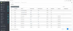 Data Table in Web (DataTables)