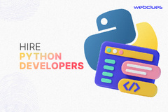 Top Checklist to Hire Python Developers