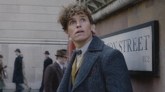 Eddie Redmayne (Fantastic Beasts)