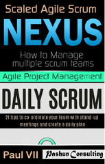 Agile Management: Scaled Agile Scrum: Nexus & Daily Scrum ...