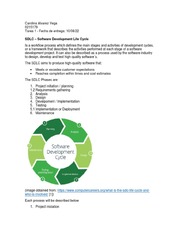 SDLC Software Development Life Cycle