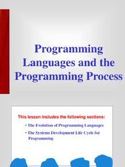 Programming Languages and the Programming Process