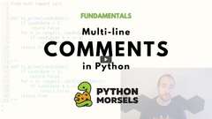 Multiline comments in Python