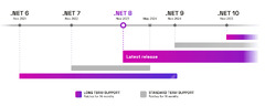 .NET Framework (.NET Core)