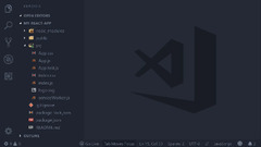 Angular (Visual Studio Code)