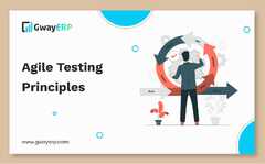 Agile Testing Principles