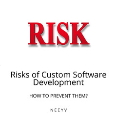 Risks of Custom Software Development - Neeyv