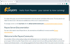 Payara Server