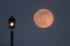 Pink moon:s of the supermoon in April 2021 | CNN