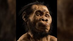 Homo naledi buried their dead 100,000 years before humans | CNN