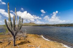 Bonaire: Why so many visitors want to move to this secret island | CNN