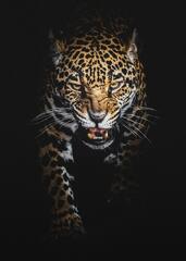 Cool%20Jaguar%20s%20-%20Top%20Cool%20Jaguar%20Backgrounds%20-%20Access