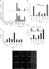 Nucleic acid sensing by T cells initiates Th2 cell differentiation ...