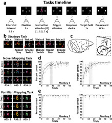 Static and dynamic coding in distinct cell types during ...