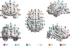 Multifractal and entropy analysis of resting-state ...