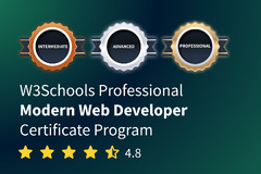 W3Schools (W3Schools Professional Modern Web Developer Certificate Program)