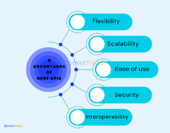 Top%2050%20ASP.NET%20Web%20API%20Interview%20Questions%20%7BUpdated%7D