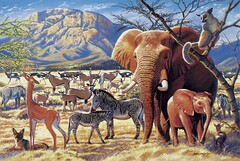 Tomax Puzzles Tomax Savanna Sunrise 1000 Piece Puzzle