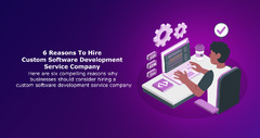 6 Reasons To Hire Custom Software Development Service Company ...