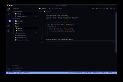 Python (Visual Studio Code)