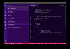 Purple Theme for Visual Studio Code