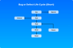 Bug Life Cycle in Software Testing | Bug Tracking Blog @ Bird Eats Bug