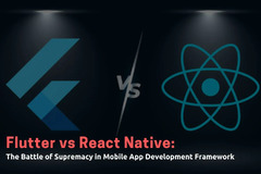 Flutter vs React Native: Best App Development Frameworks