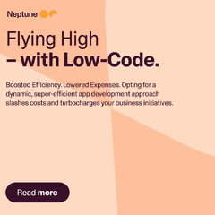 Low-Code done right and easily with Neptune