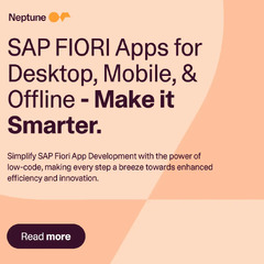 Simple SAP Fiori App Development with Low-Code | Neptune