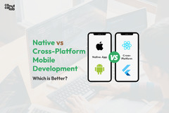 Native vs Cross-Platform Development: Which is Better?