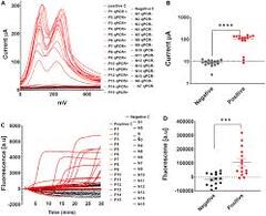 Development%20of%20a%20loop-mediated%20isothermal%20amplification%20(LAMP%20...