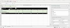 Excel Pivot Table (Microsoft Excel)