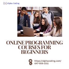 Online Programming Courses for Beginners: A Gateway to Your Coding ...