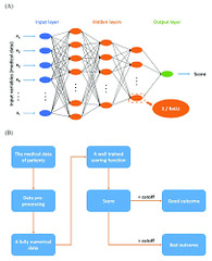 Deep Neural Network