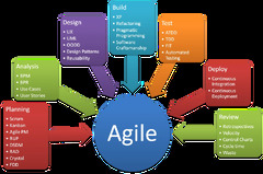 Agile Software Development: Are Big Organizations Agile?